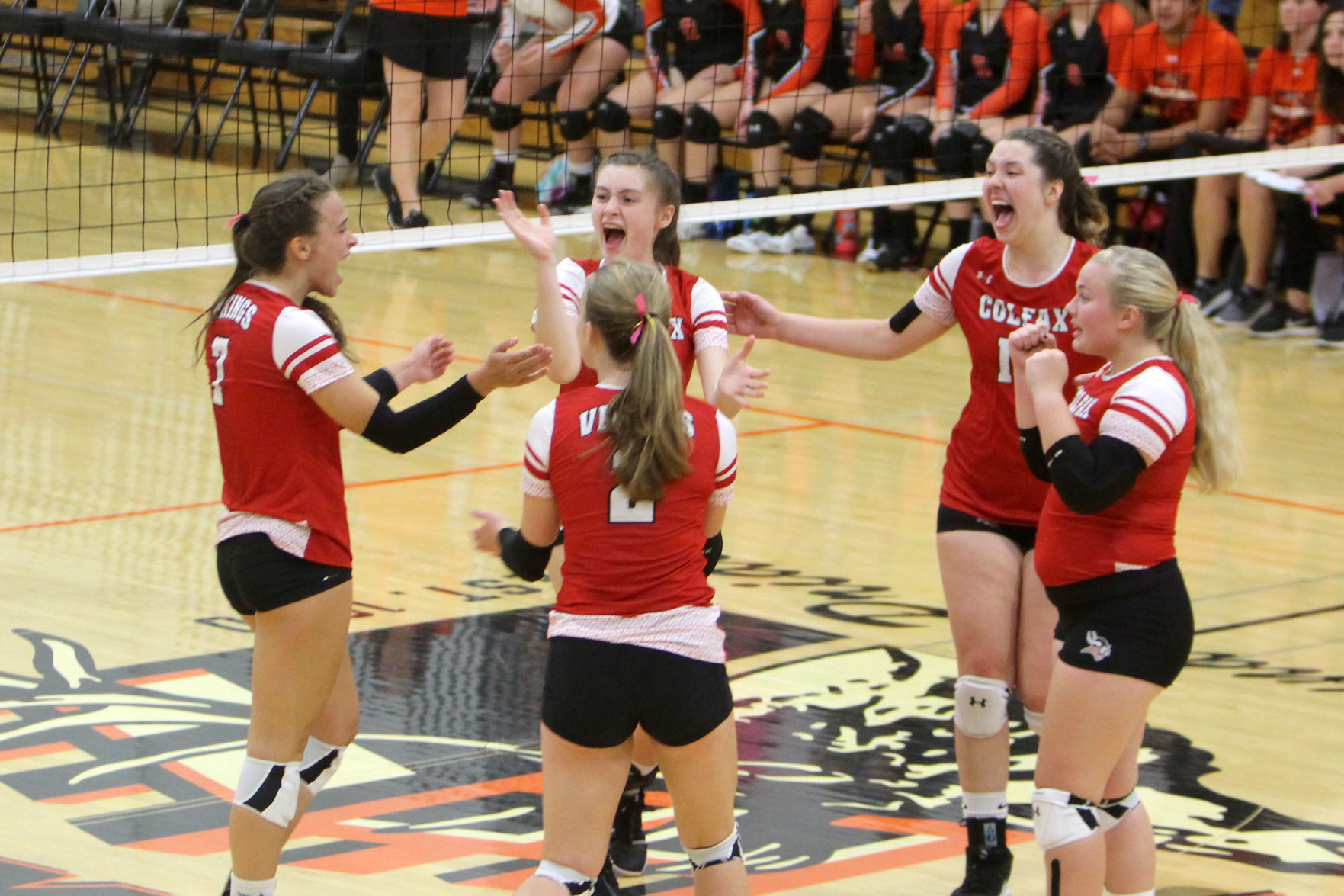 Colfax at Elk Mound volleyball 10-17-19